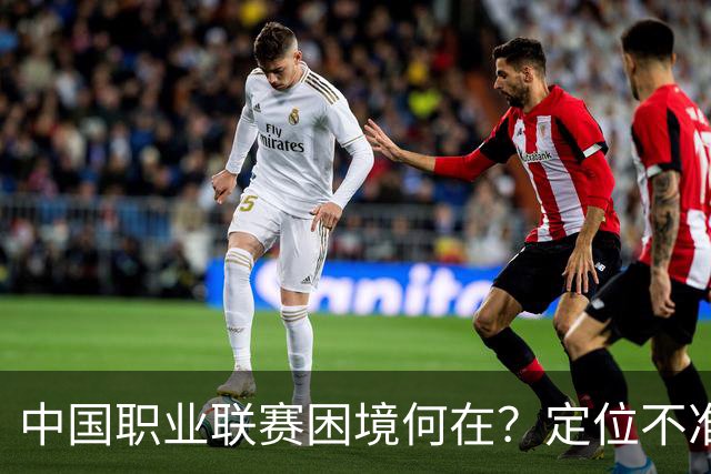 中国职业联赛困境何在？定位不准！理念错位！