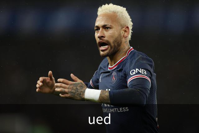 ued 公司简介